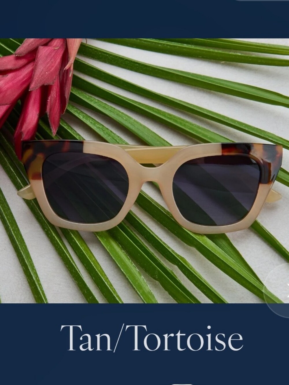 Tan/Tortoise Reader/Sunglasses Stylish Tan Frame with Tortoise Accents